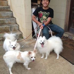 Meet your Posher, Sew